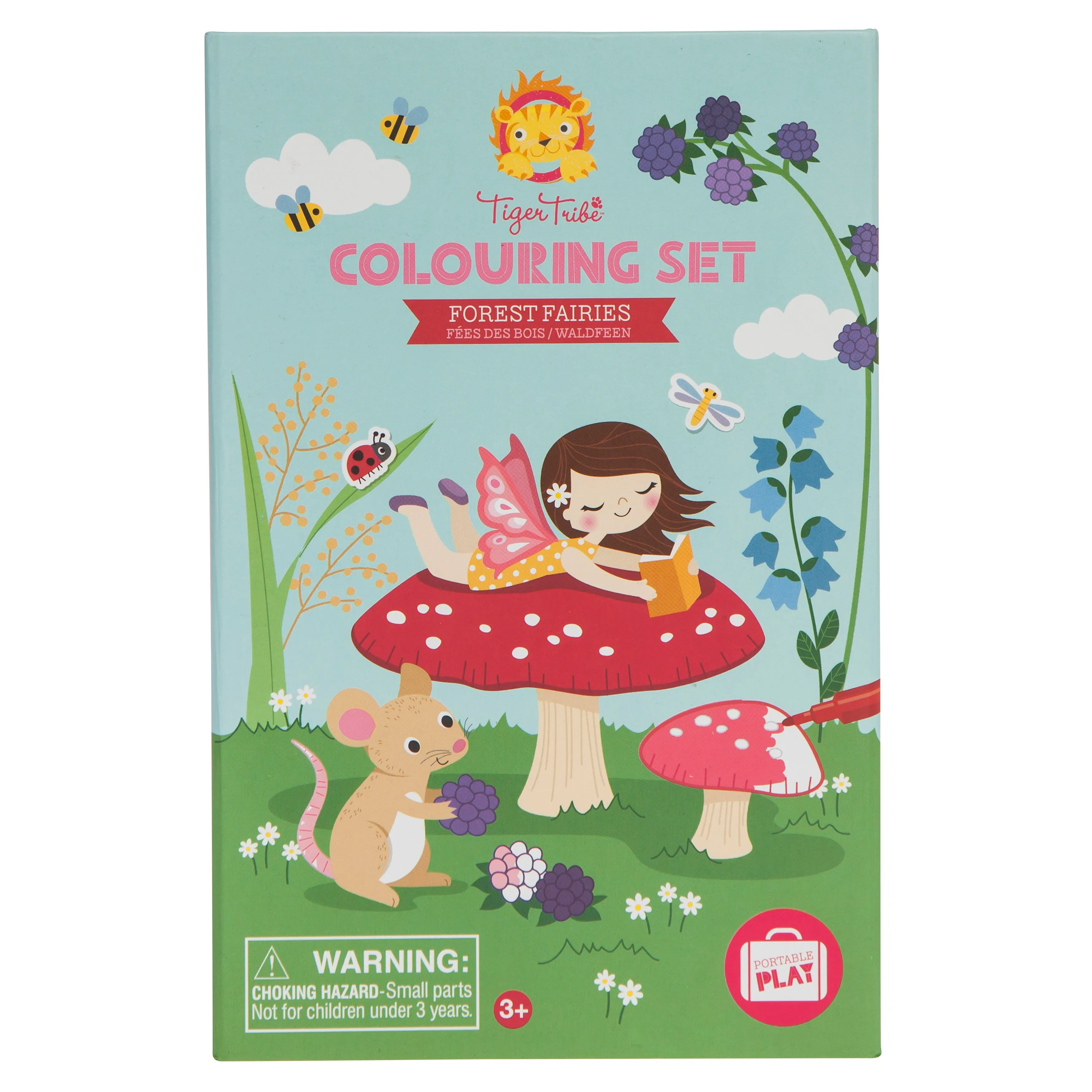 Colouring Set - Forest Fairies