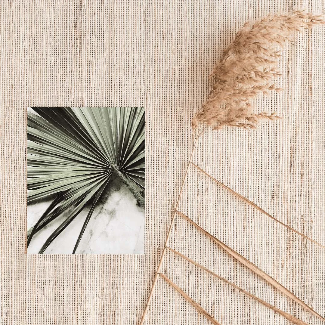 Tropical Fan Leaf Art Print